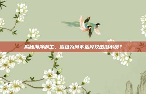 揭秘海洋霸主，鲨鱼为何不选择攻击潜水员？