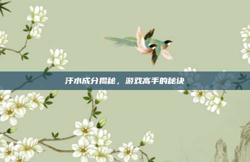 汗水成分揭秘，游戏高手的秘诀