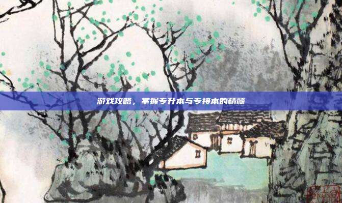 游戏攻略,掌握专升本与专接本的精髓
