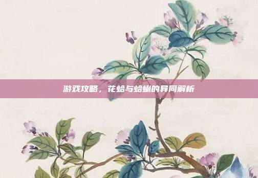 游戏攻略，花蛤与蛤蜊的异同解析