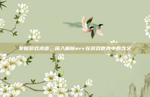 掌握游戏术语,深入解析err在游戏世界中的含义