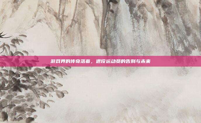 游戏界的传奇落幕，退役运动员的告别与未来