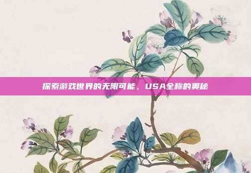 探索游戏世界的无限可能，USA全称的奥秘