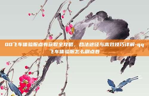 QQ飞车体验服点券获取全攻略，合法途径与高效技巧详解-qq飞车体验服怎么刷点卷