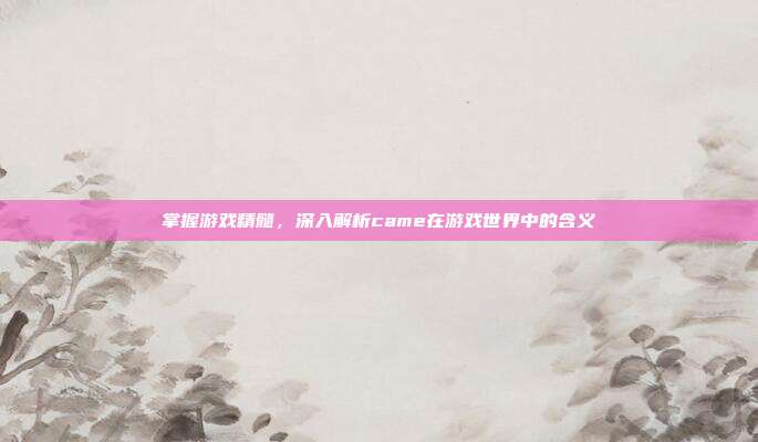 掌握游戏精髓，深入解析came在游戏世界中的含义