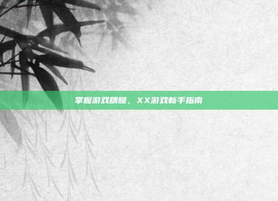掌握游戏精髓，XX游戏新手指南