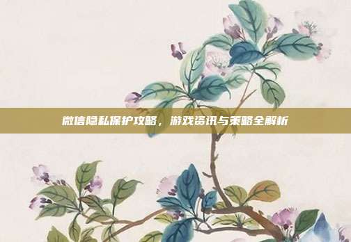 微信隐私保护攻略，游戏资讯与策略全解析