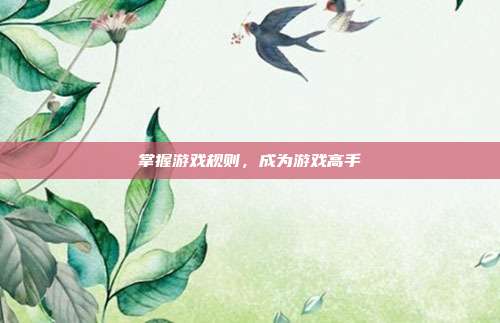 掌握游戏规则，成为游戏高手