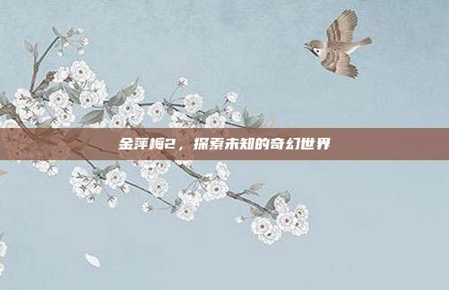金萍梅2，探索未知的奇幻世界