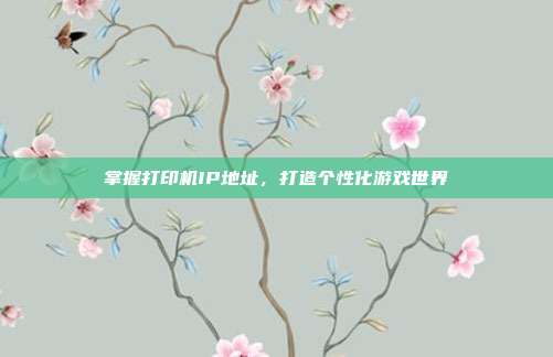 掌握打印机IP地址，打造个性化游戏世界
