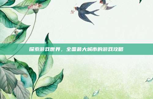 探索游戏世界,全国最大城市的游戏攻略