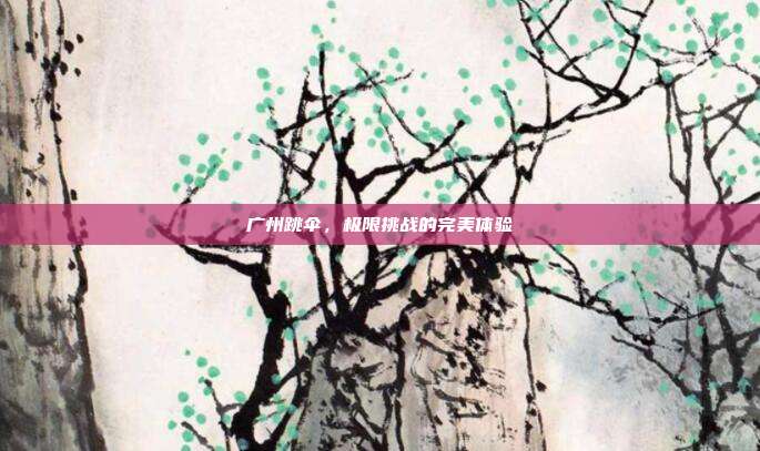 广州跳伞，极限挑战的完美体验