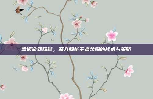 掌握游戏精髓,深入解析王者荣耀的战术与策略