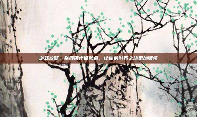 游戏攻略，掌握医疗保险金，让你的游戏之旅更加顺畅