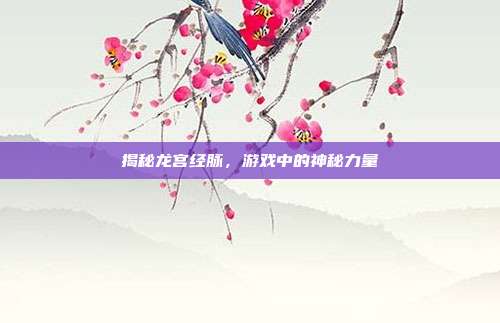 揭秘龙宫经脉，游戏中的神秘力量