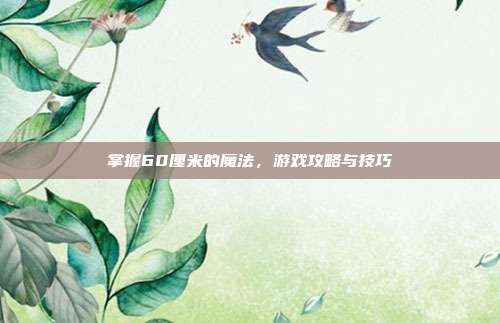 掌握60厘米的魔法，游戏攻略与技巧