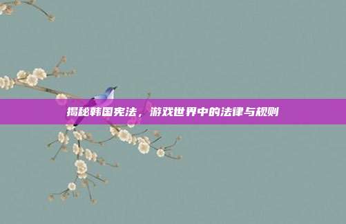 揭秘韩国宪法，游戏世界中的法律与规则