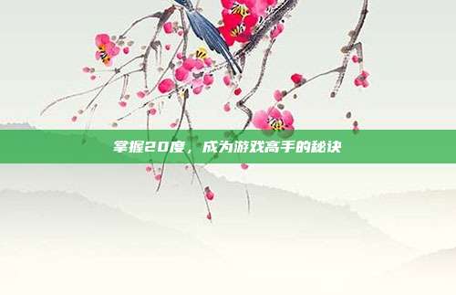 掌握20度，成为游戏高手的秘诀