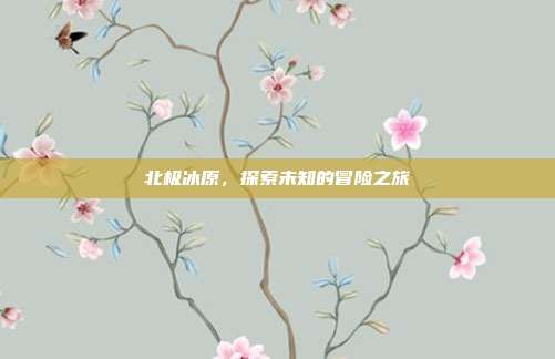 北极冰原，探索未知的冒险之旅